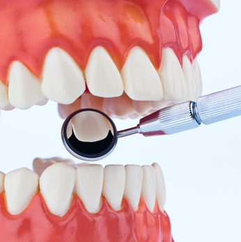 Zahnarzt Das Modell eines Gebisses